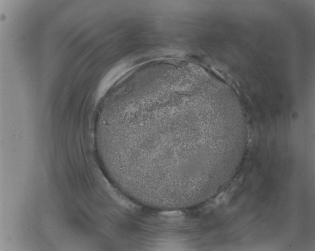 X0000062840053200601272026