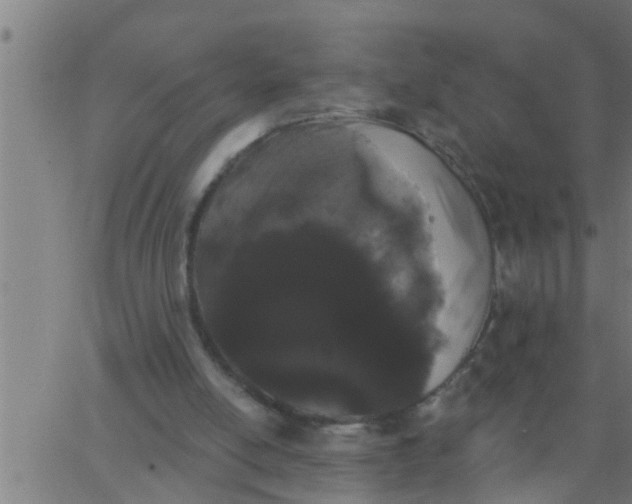 X0000062840054200601272026