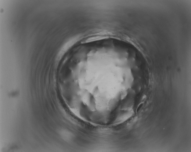 X0000062840055200601272026