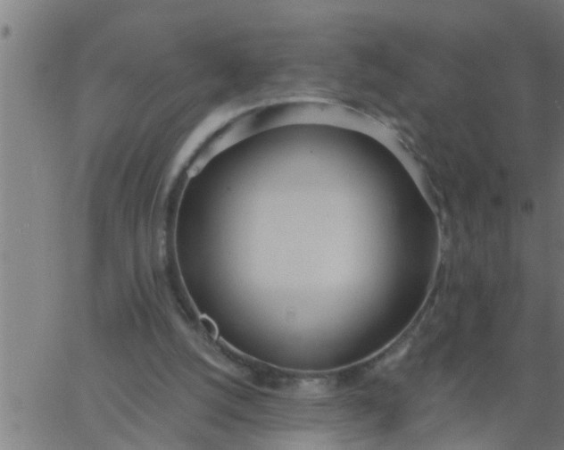 X0000062840056200601272026