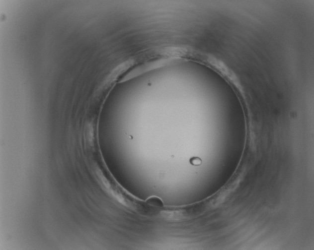 X0000062840057200601272026