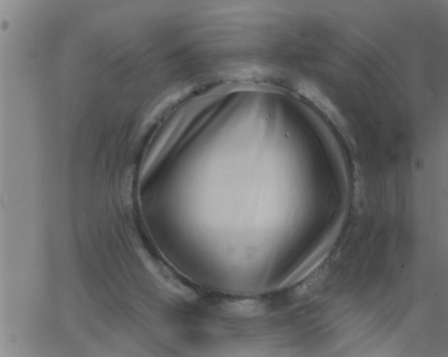 X0000062840058200601272026