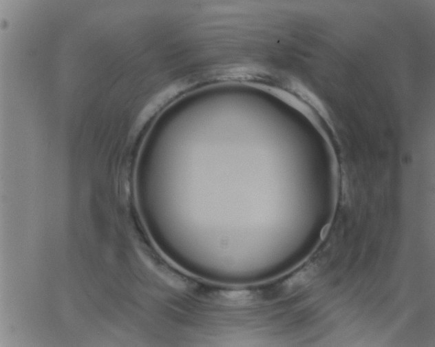 X0000062840059200601272026