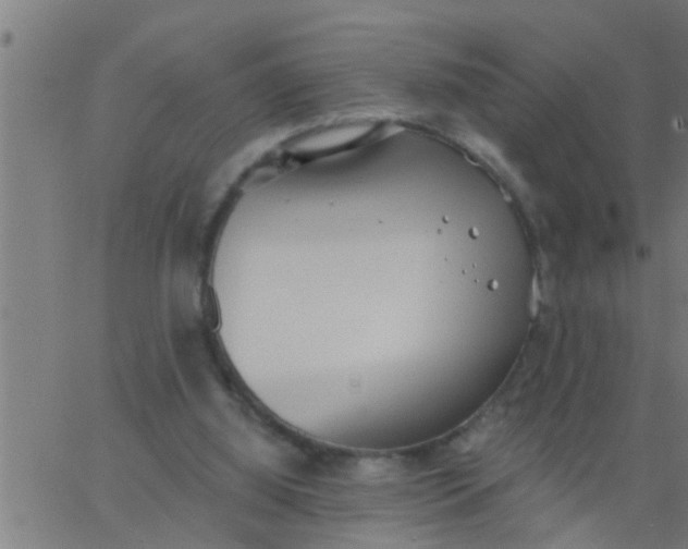 X0000062840060200601272026