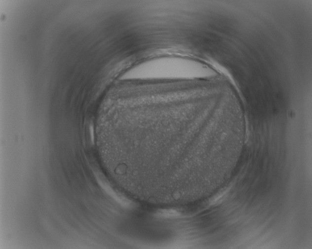 X0000062840061200601272026