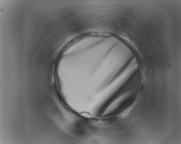 X0000062840062200601272026