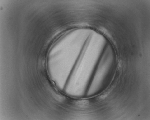 X0000062840063200601272026