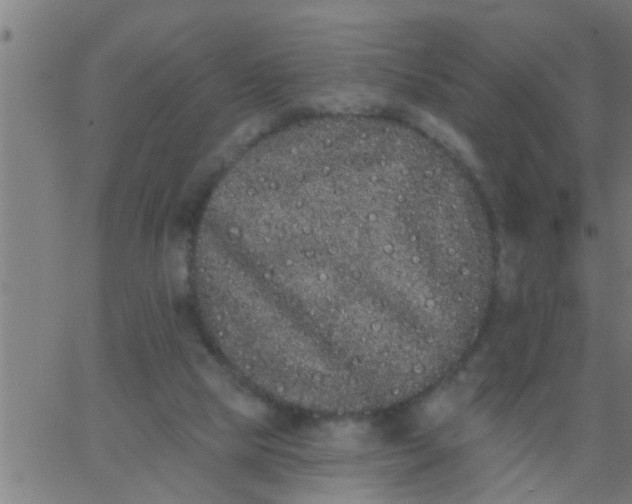 X0000062840065200601272027