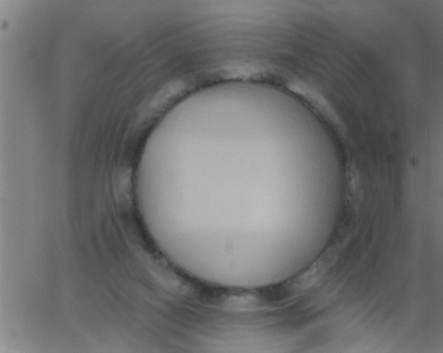 X0000062840066200601272027