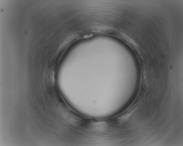 X0000062840067200601272027