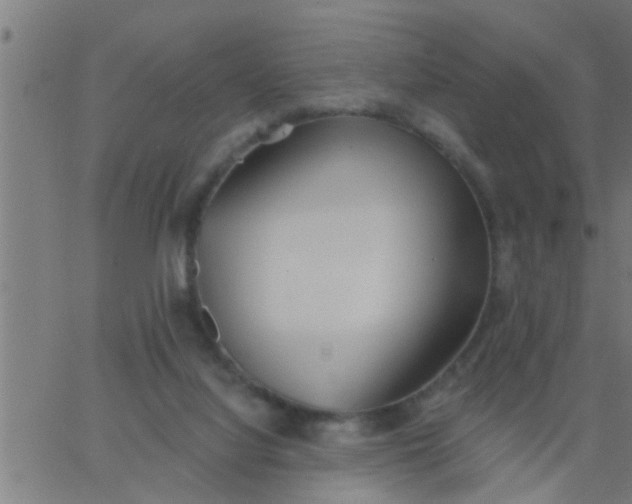 X0000062840068200601272027