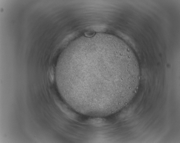 X0000062840069200601272027