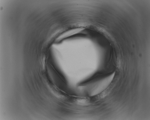 X0000062840070200601272027