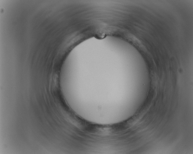 X0000062840071200601272027