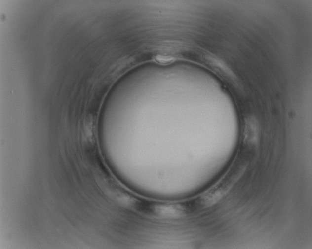 X0000062840073200601272027