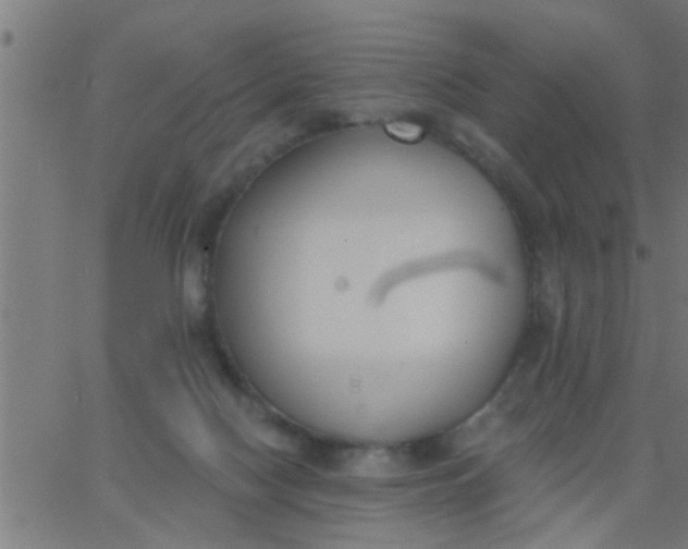 X0000062840074200601272027