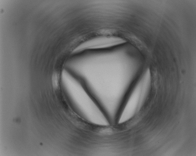 X0000062840075200601272027