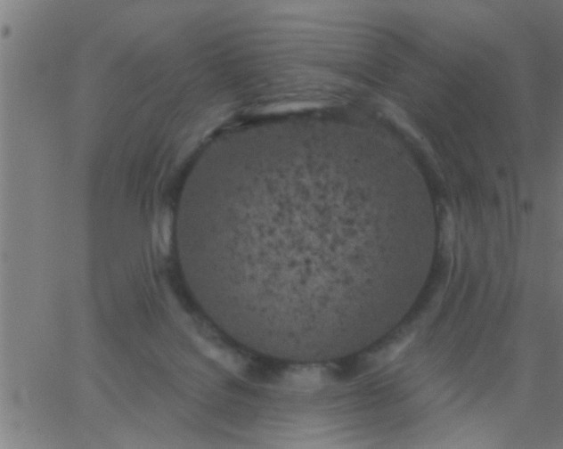 X0000062840076200601272027