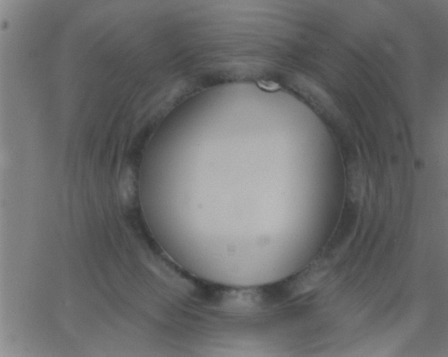 X0000062840077200601272027