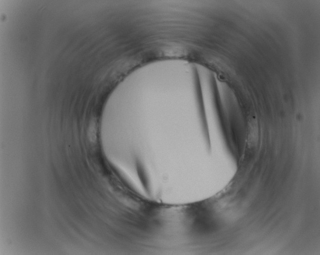 X0000062840078200601272027