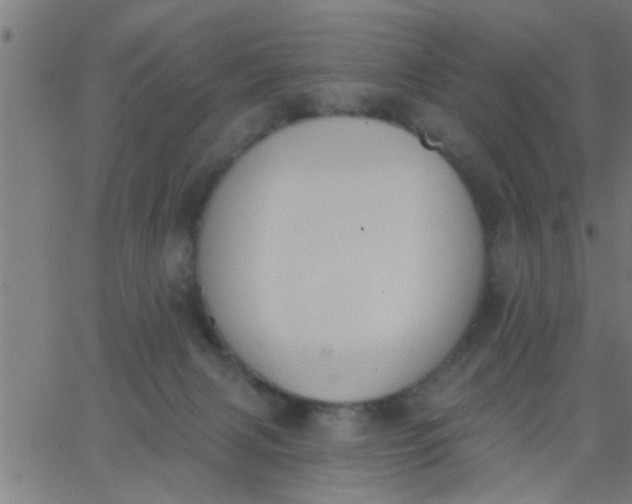 X0000062840079200601272027