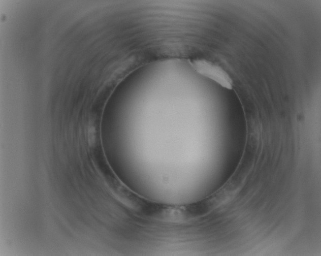 X0000062840080200601272027