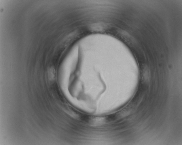 X0000062840081200601272027