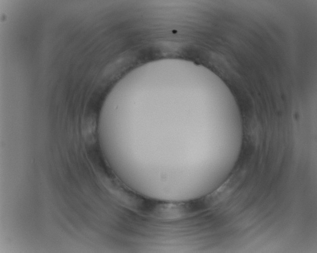 X0000062840082200601272027