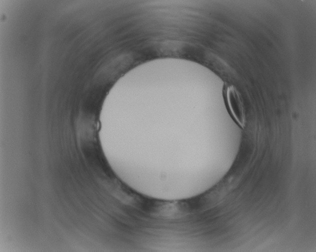 X0000062840083200601272027