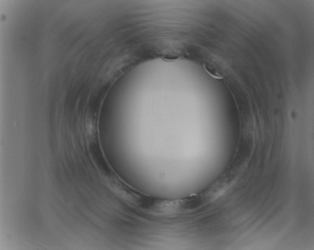 X0000062840084200601272027