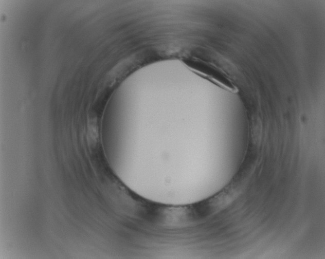 X0000062840085200601272027