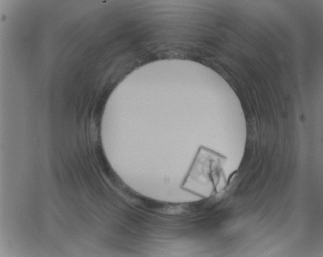 X0000062840086200601272027