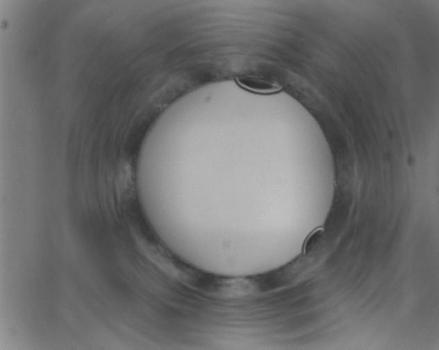 X0000062840087200601272027