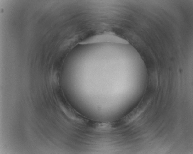 X0000062840088200601272027