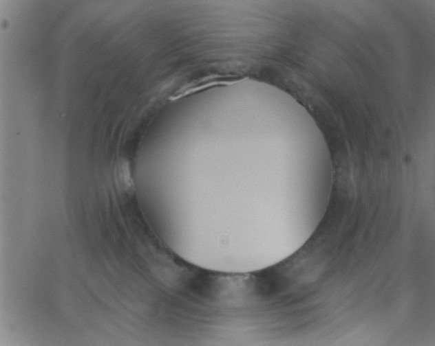 X0000062840089200601272027