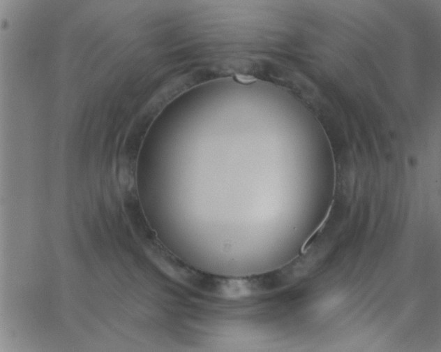 X0000062840091200601272027