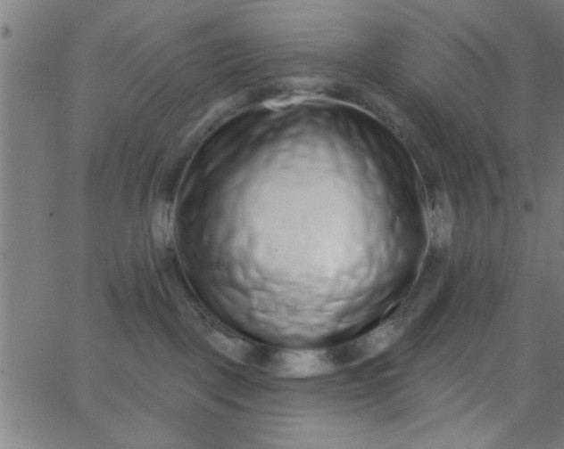 X0000062840093200601272027