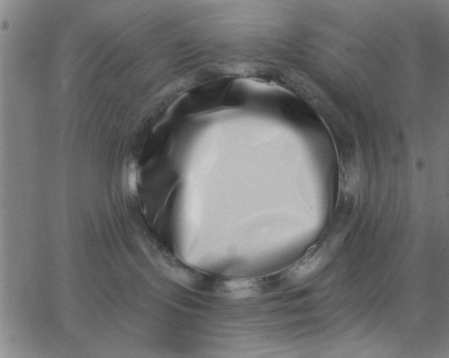 X0000062840095200601272027