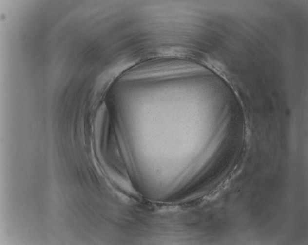 X0000062840097200601272026