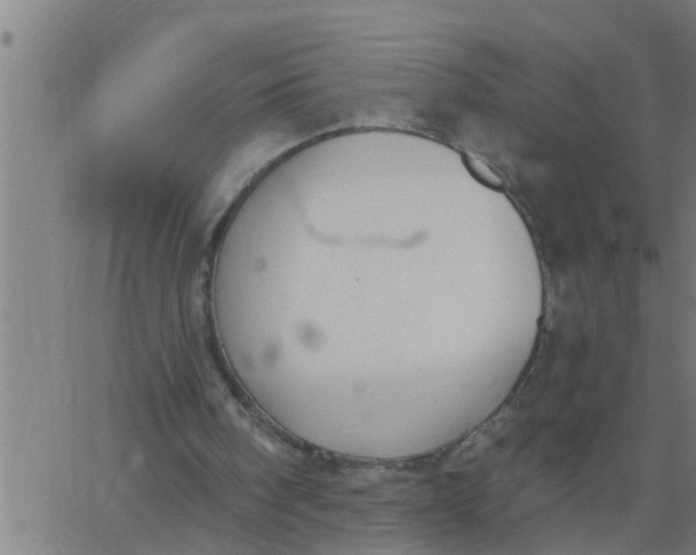 X0000062840098200601272026