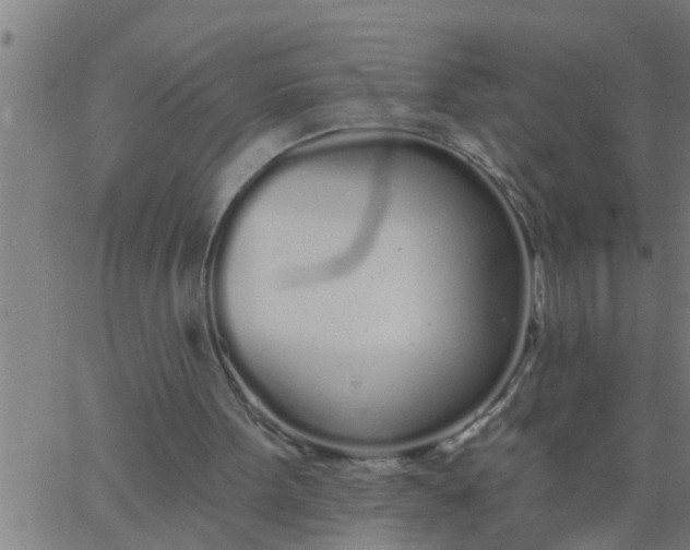 X0000062840099200601272026