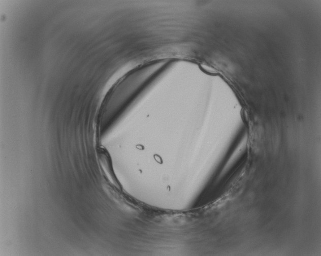 X0000062840100200601272026