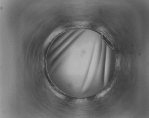 X0000062840101200601272026