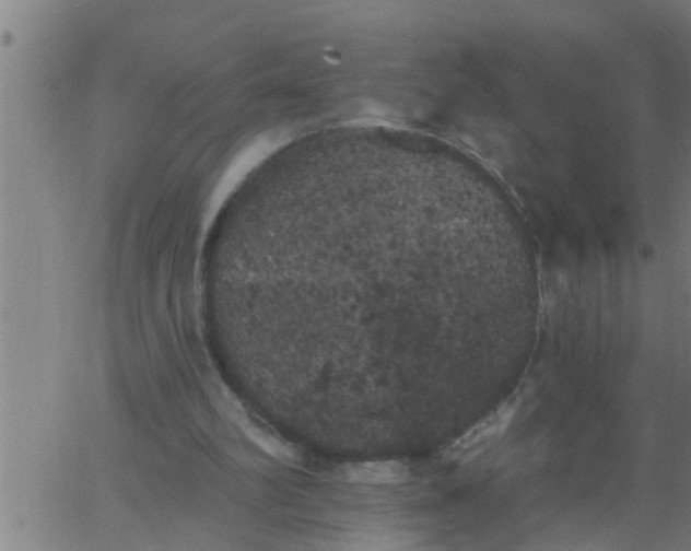 X0000062840102200601272026