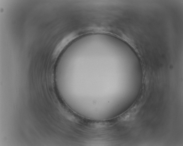 X0000062840103200601272026