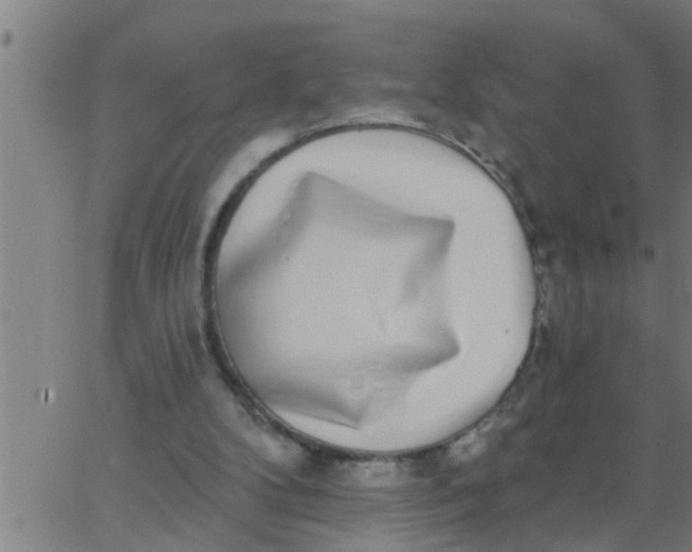 X0000062840104200601272026