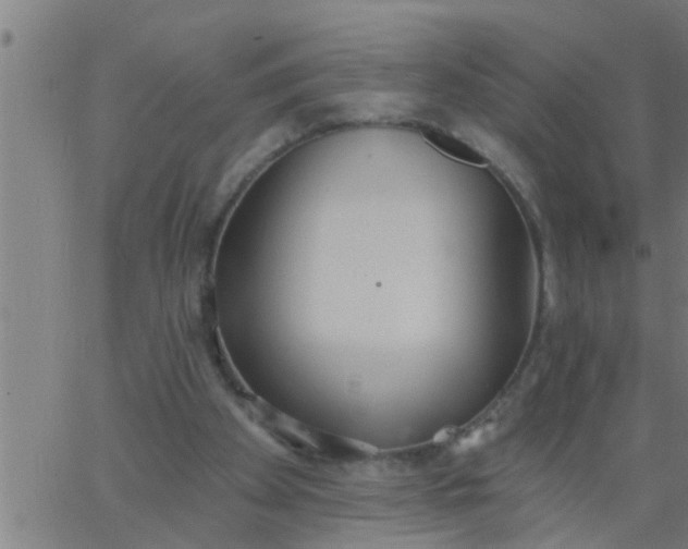 X0000062840105200601272026