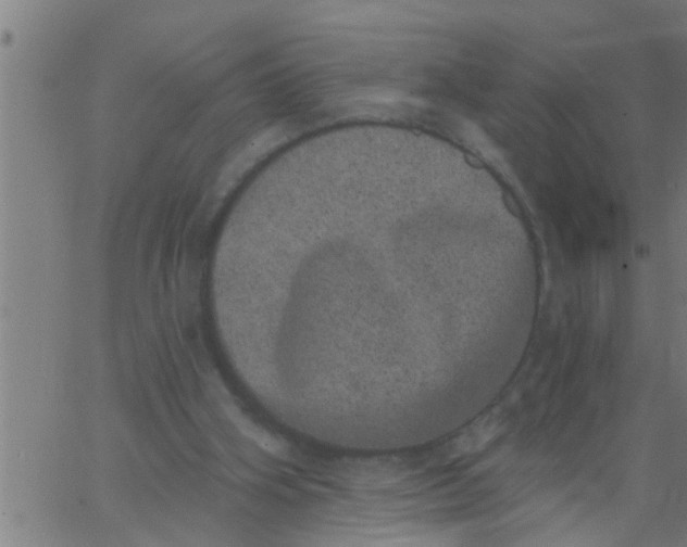 X0000062840106200601272026