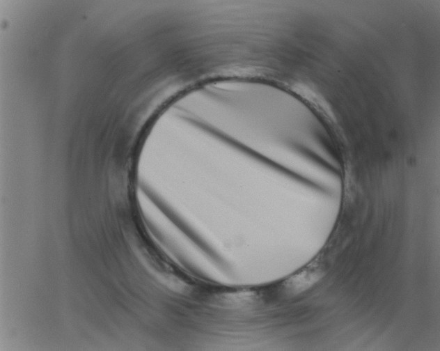 X0000062840108200601272026