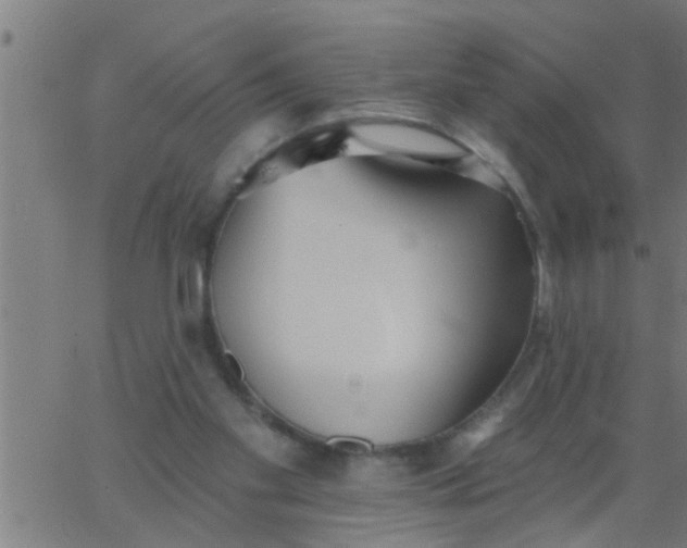 X0000062840109200601272026